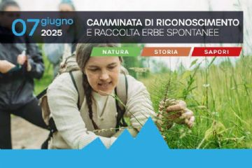 Camminata di riconoscimento e raccolta erbe spontanee