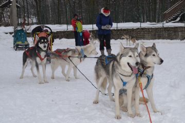 CIASPOLATA NOTTURNA IN COMPAGNIA DEI SIBERIAN HUSKY e CIASPOLATA DIURNA A VALLORSERA