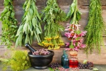Passeggiata guidata al riconoscimento delle Erbe Officinali ad Usseglio