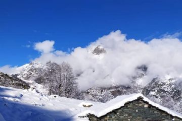 Ciaspolata tra boschi e alpeggi innevati
