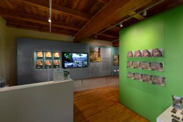 Inaugurazione del nuovo allestimento del Museo Tazzetti