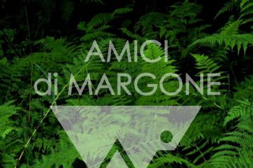 La Guerra Margonese