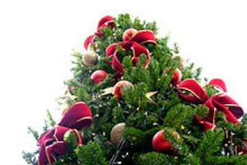 Vestiamo insieme l&#39;albero di Natale della comunit&#224;