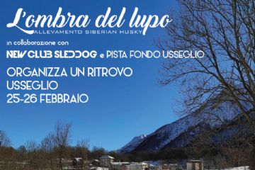 L&#39;ombra del lupo
