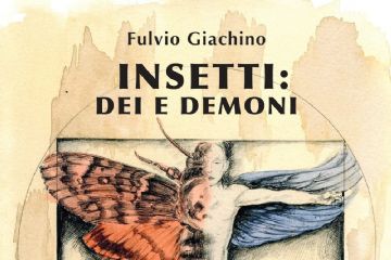 Insetti: dei e demoni