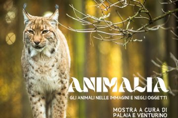 Animalia - Gli animali nelle immagini e negli oggetti
