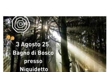 Bagno di Bosco a Niquidetto