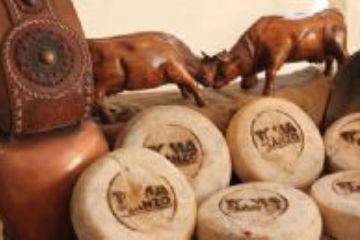 19^ Mostra Regionale della Toma di Lanzo e dei formaggi d&#39;alpeggio