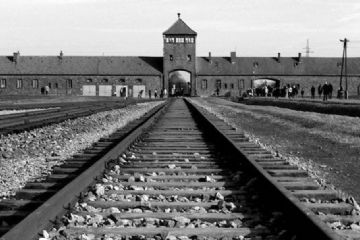Il giorno della memoria