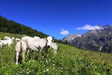 A spasso tra gli alpeggi di ieri e di oggi