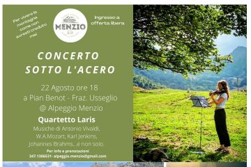 Concerto sotto l&#39;acero