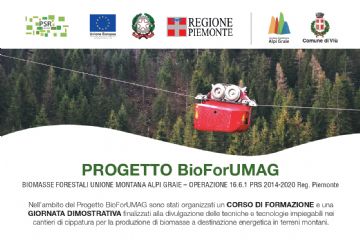 Esbosco con teleferica per produzione di biomasse