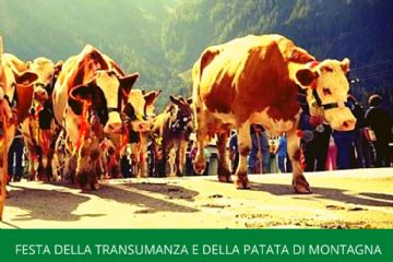 Escursione guidata a Malciaussia