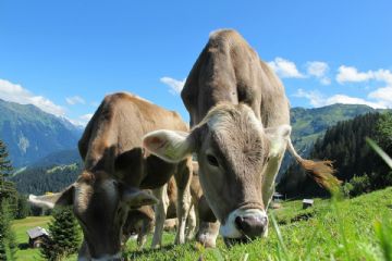 A scuola di montagna