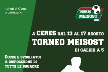 TORNEO MEISOST