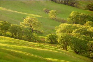 SIAMO AL VERDE...NEL VERDE