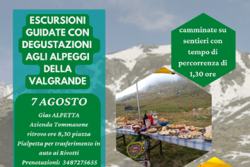 Escursione deustazione agli alpeggi